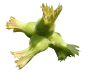 findik.gif
